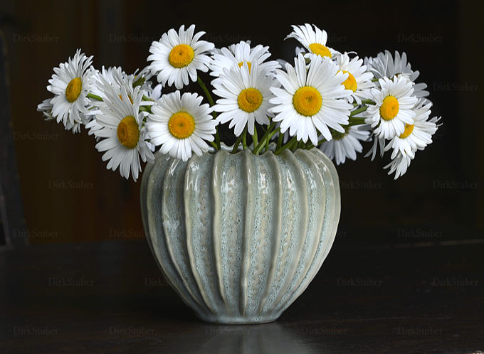 Margeritenstrauß in einer Vase