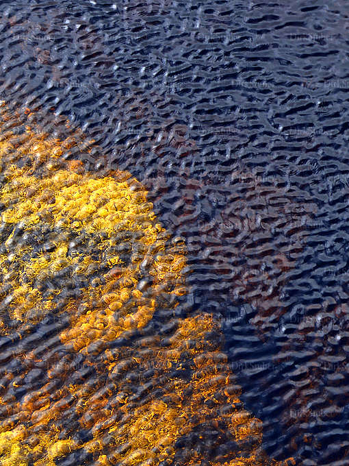 Rippel Fluss Rondane