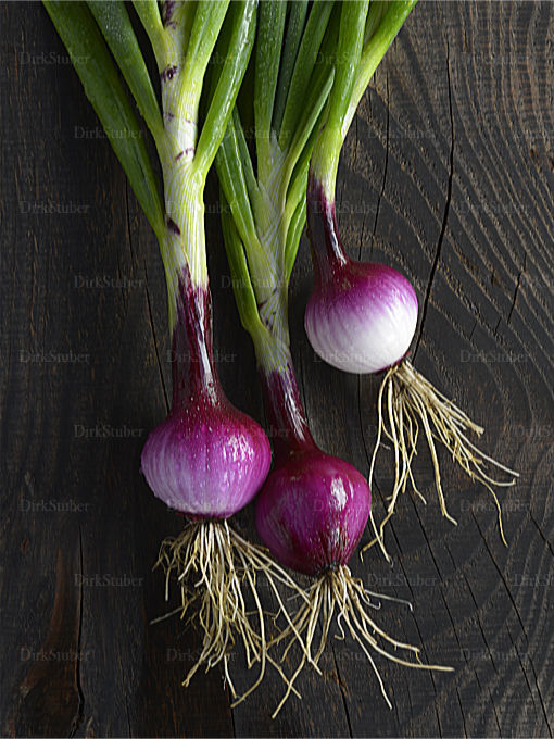 Rote Zwiebeln mit Grün