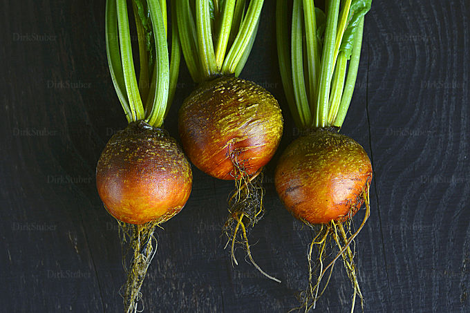 Gelbe Beete Rüben auf Holz