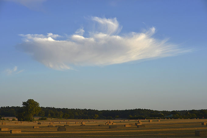 Feld mit Strohballen in der Abendsonne
