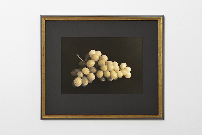 Schwarzweiß Foto Traube in Goldrahmen