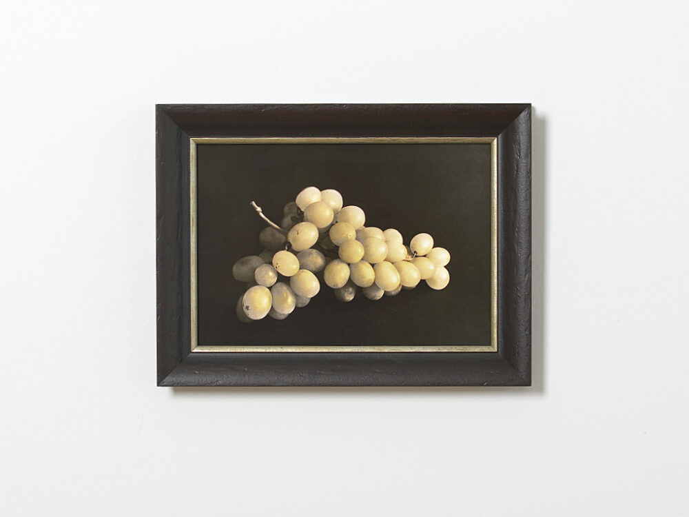 Schwarzweiß Foto Weintraube