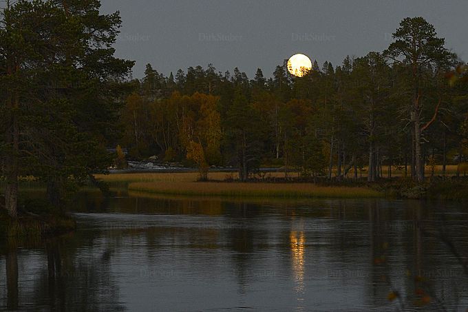 Fluss im Femundsmarka Nasjonalpark