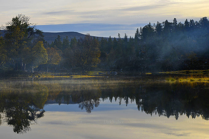 See am Morgen im Femundsmarka Nasjonalpark