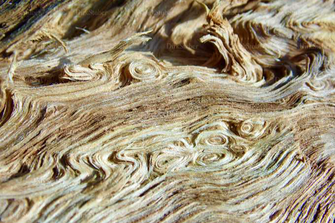 Holzfasern und Wirbel in Eichenholz