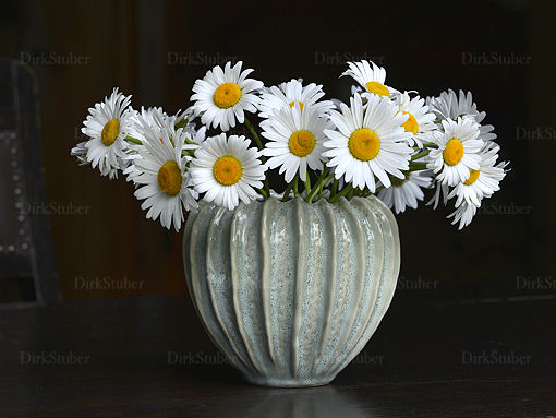 Margeriten in einer grünen Vase vor einem dunklen Hintergrund