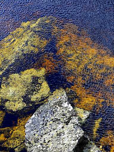 Rippel auf der Wasseroberfläche eines Flusses mit bersteinfarbenen Steinen im Wasser