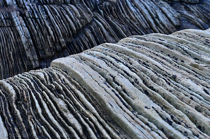Gletscherspuren im Felsen südlich vom Saltstraumen in Nordnorwegen